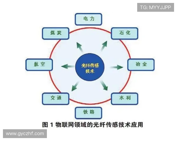 广州排球队边路渗透战术解析与实战应用探讨